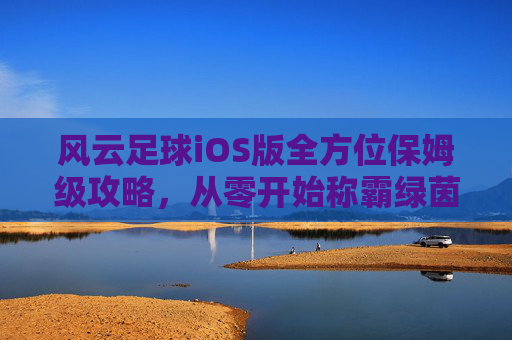 风云足球iOS版全方位保姆级攻略,从零开始称霸绿茵场