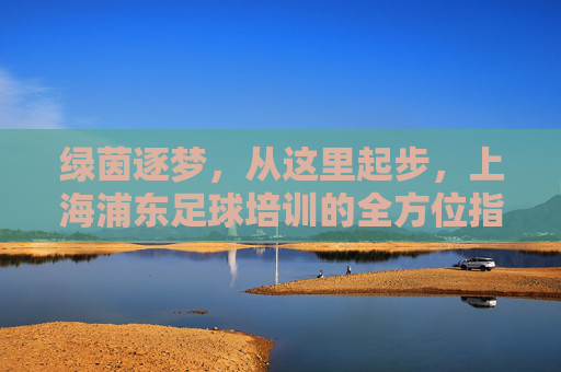 绿茵逐梦，从这里起步，上海浦东足球培训的全方位指南