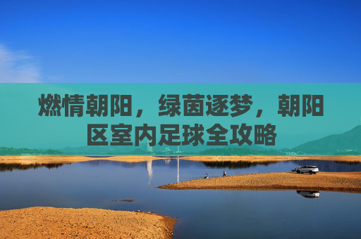 燃情朝阳，绿茵逐梦，朝阳区室内足球全攻略