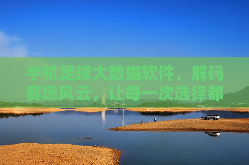 手机足球大数据软件,解码赛场风云,让每一次选择都更有依据