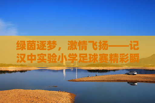 绿茵逐梦,激情飞扬——记汉中实验小学足球赛精彩瞬间