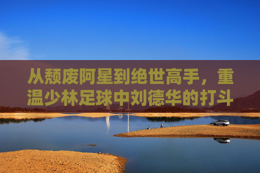 从颓废阿星到绝世高手，重温少林足球中刘德华的打斗风采
