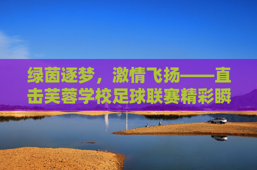 绿茵逐梦,激情飞扬——直击芙蓉学校足球联赛精彩瞬间