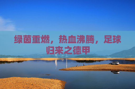 绿茵重燃，热血沸腾，足球归来之德甲