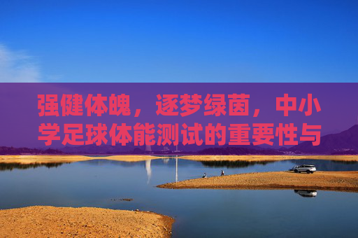 强健体魄，逐梦绿茵，中小学足球体能测试的重要性与科学指导