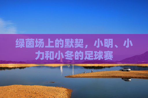 绿茵场上的默契，小明、小力和小冬的足球赛