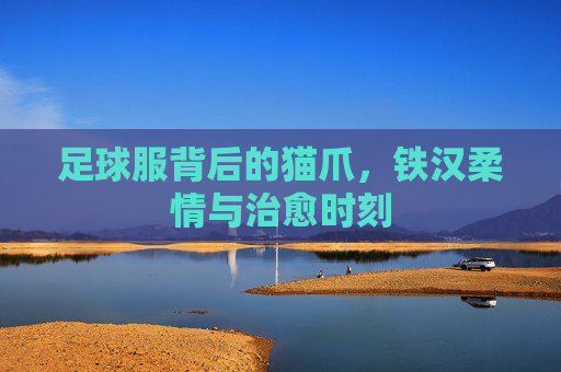 足球服背后的猫爪，铁汉柔情与治愈时刻