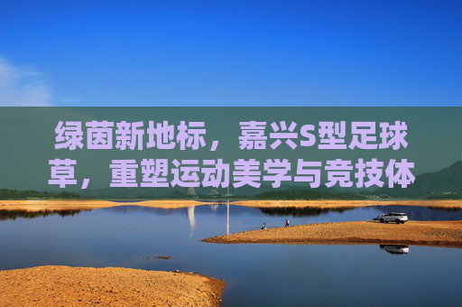 绿茵新地标,嘉兴S型足球草,重塑运动美学与竞技体验