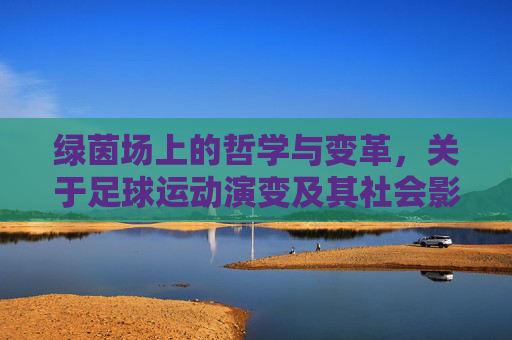 绿茵场上的哲学与变革,关于足球运动演变及其社会影响的探讨