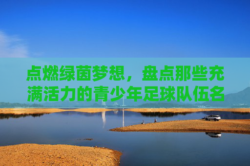 点燃绿茵梦想，盘点那些充满活力的青少年足球队伍名称