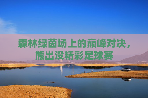 森林绿茵场上的巅峰对决,熊出没精彩足球赛