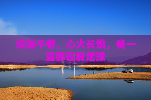 绿茵不老,心火长燃,我一直都在爱足球