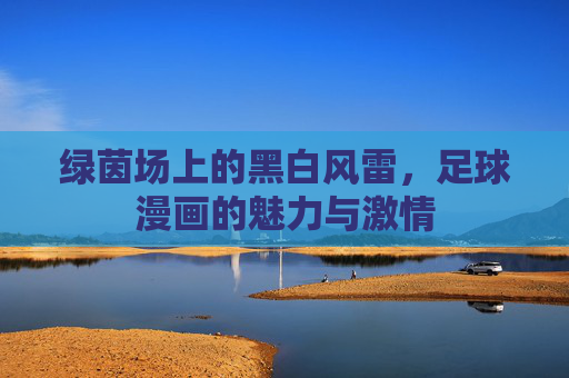 绿茵场上的黑白风雷,足球漫画的魅力与激情
