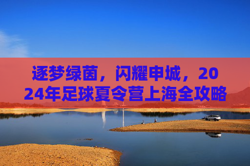 逐梦绿茵，闪耀申城，2024年足球夏令营上海全攻略