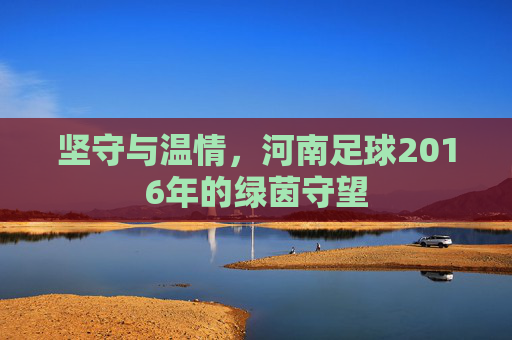 坚守与温情，河南足球2016年的绿茵守望