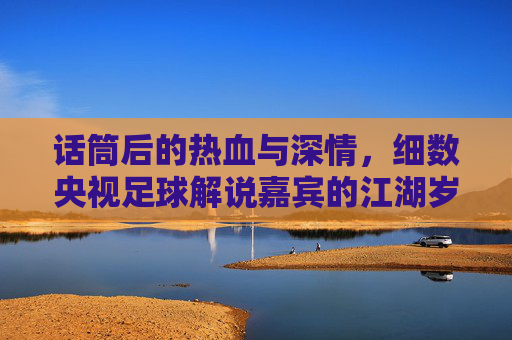 话筒后的热血与深情,细数央视足球解说嘉宾的江湖岁月