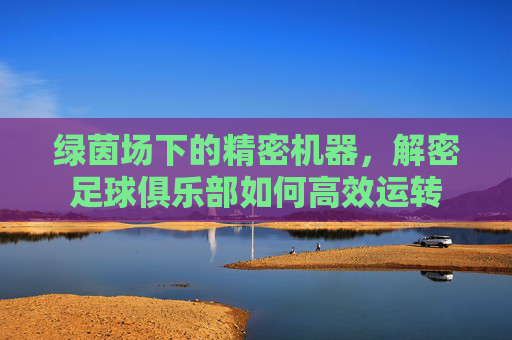 绿茵场下的精密机器,解密足球俱乐部如何高效运转