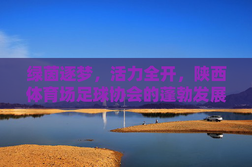 绿茵逐梦，活力全开，陕西体育场足球协会的蓬勃发展之路