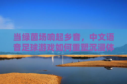 当绿茵场响起乡音,中文语音足球游戏如何重塑沉浸体验