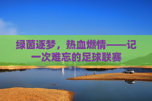 绿茵逐梦,热血燃情——记一次难忘的足球联赛