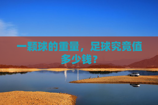一颗球的重量,足球究竟值多少钱?