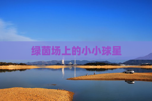 绿茵场上的小小球星