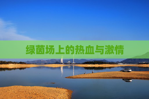 绿茵场上的热血与激情