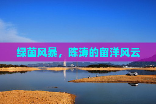 绿茵风暴,陈涛的留洋风云