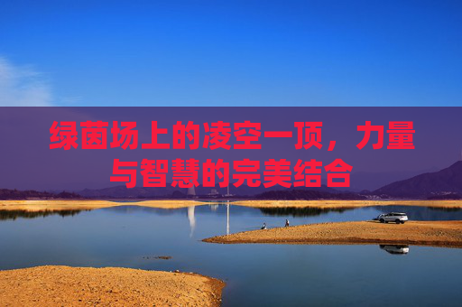 绿茵场上的凌空一顶,力量与智慧的完美结合