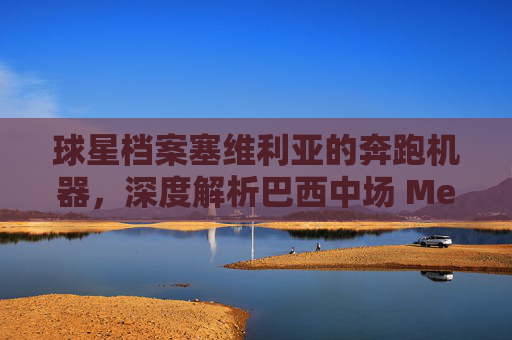 球星档案塞维利亚的奔跑机器,深度解析巴西中场 Mexer