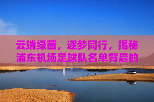 云端绿茵，逐梦同行，揭秘浦东机场足球队名单背后的热血与拼搏