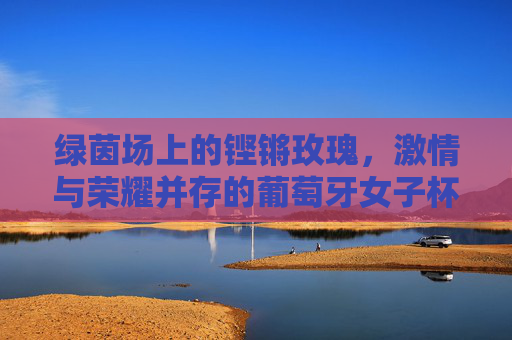 绿茵场上的铿锵玫瑰,激情与荣耀并存的葡萄牙女子杯足球
