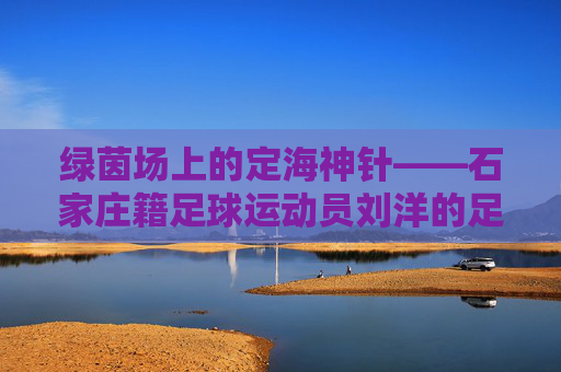 绿茵场上的定海神针——石家庄籍足球运动员刘洋的足球之路