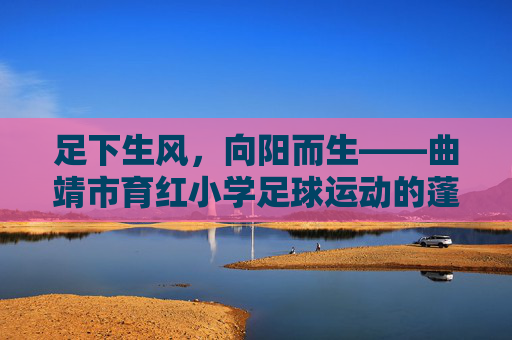 足下生风，向阳而生——曲靖市育红小学足球运动的蓬勃画卷