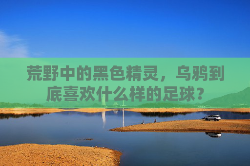 荒野中的黑色精灵,乌鸦到底喜欢什么样的足球?