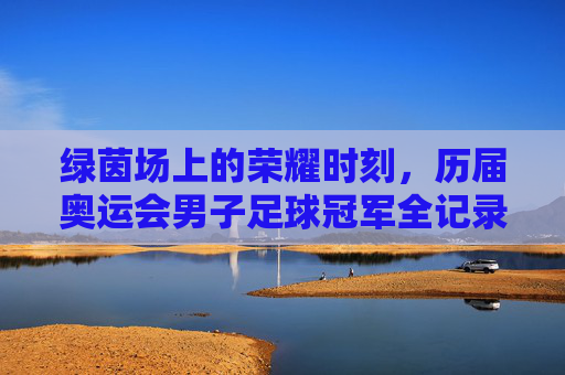绿茵场上的荣耀时刻,历届奥运会男子足球冠军全记录