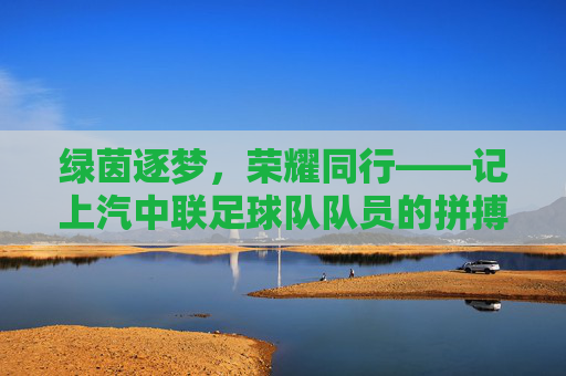 绿茵逐梦，荣耀同行——记上汽中联足球队队员的拼搏风采