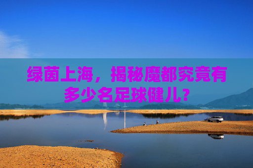 绿茵上海，揭秘魔都究竟有多少名足球健儿？