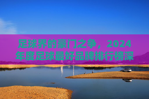 足球界的豪门之争，2024年度足球最好品牌排行榜深度解析
