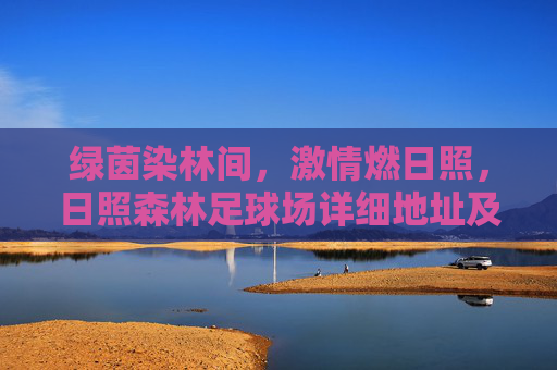 绿茵染林间，激情燃日照，日照森林足球场详细地址及周边攻略