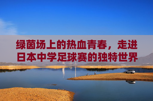 绿茵场上的热血青春,走进日本中学足球赛的独特世界