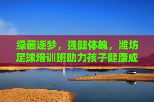 绿茵逐梦，强健体魄，潍坊足球培训班助力孩子健康成长