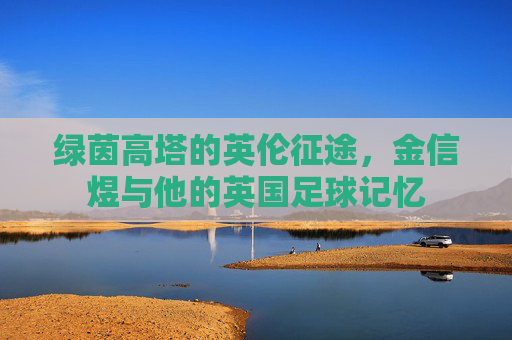 绿茵高塔的英伦征途,金信煜与他的英国足球记忆