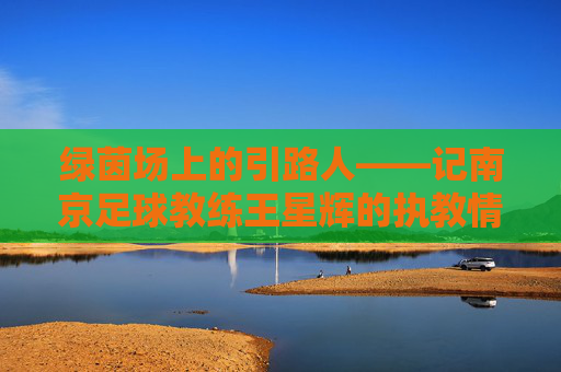 绿茵场上的引路人——记南京足球教练王星辉的执教情怀