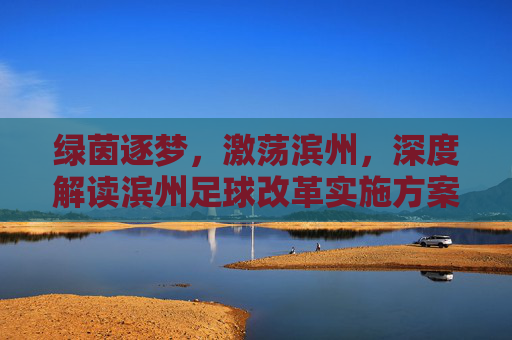 绿茵逐梦，激荡滨州，深度解读滨州足球改革实施方案与未来展望