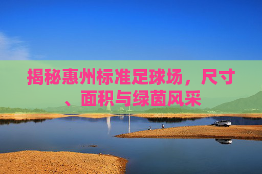 揭秘惠州标准足球场，尺寸、面积与绿茵风采