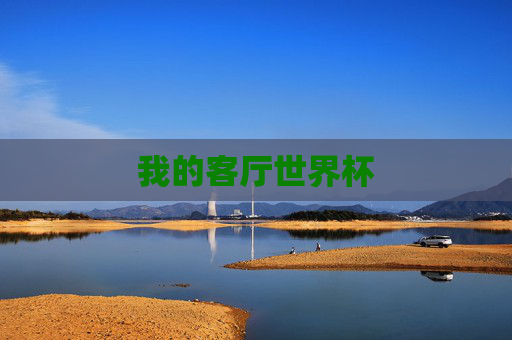 我的客厅世界杯