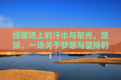 绿茵场上的汗水与荣光，足球，一场关于梦想与坚持的修行