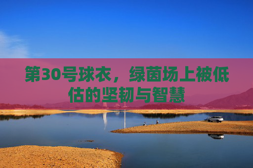 第30号球衣,绿茵场上被低估的坚韧与智慧