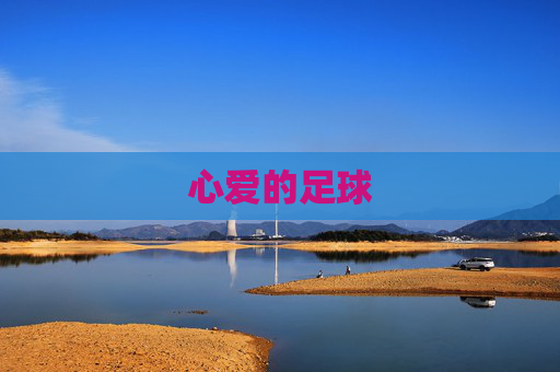 心爱的足球